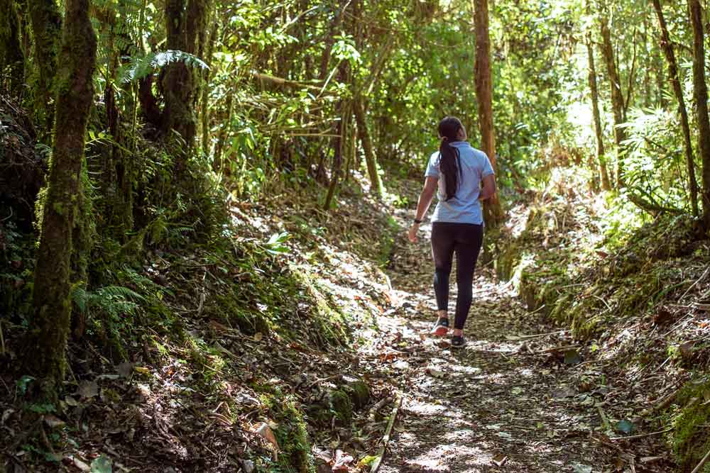 A woman walking through a lush green forest